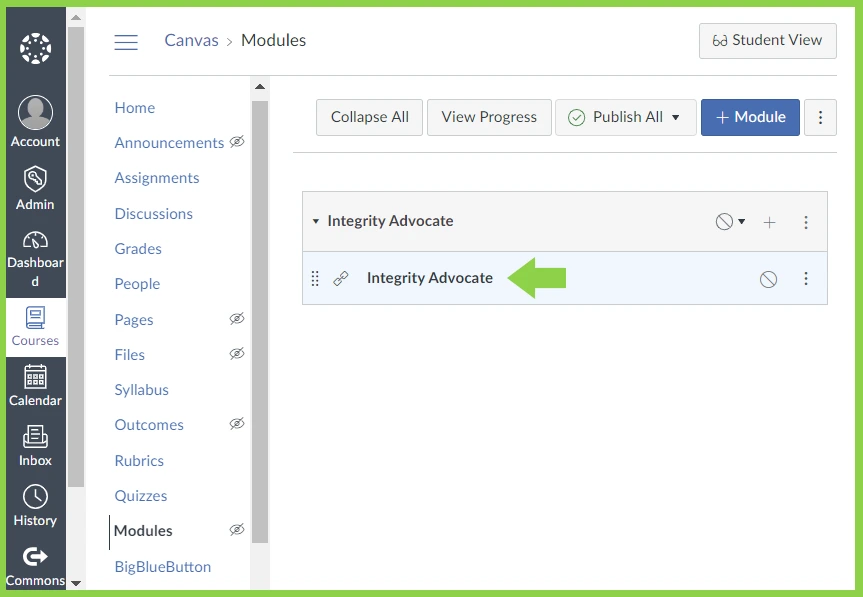 Canvas_Enable Integrity Advocate on an Activity_01