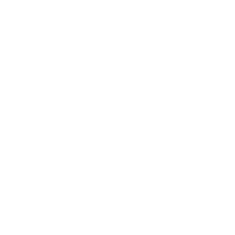 logo_emlyon-white