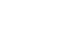 logo_neontrain-white